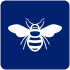 Stinging pest Icon