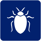 bed bug icon