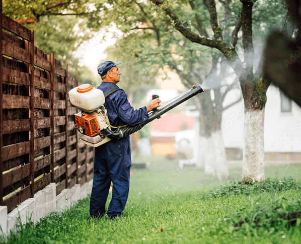 Mosquito Reduction Services Pinellas