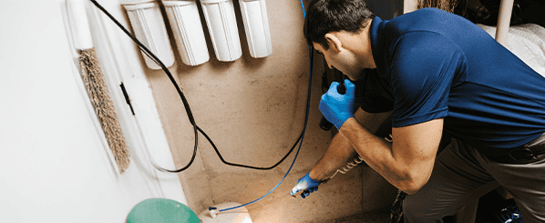 Spider interior treatment