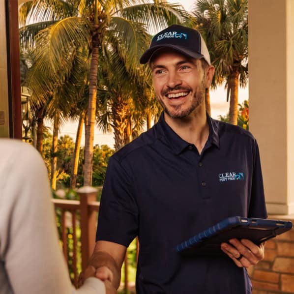 Clearwater Beach Pest Control