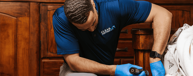Initial inspection