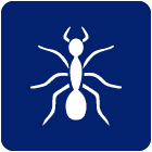 Ant Icon