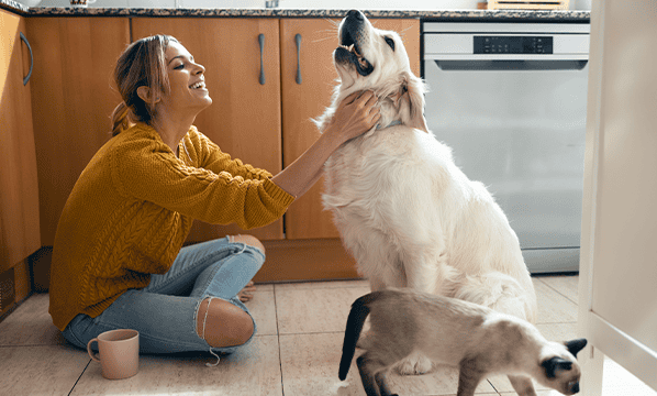 flea removal