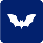 Bat icon