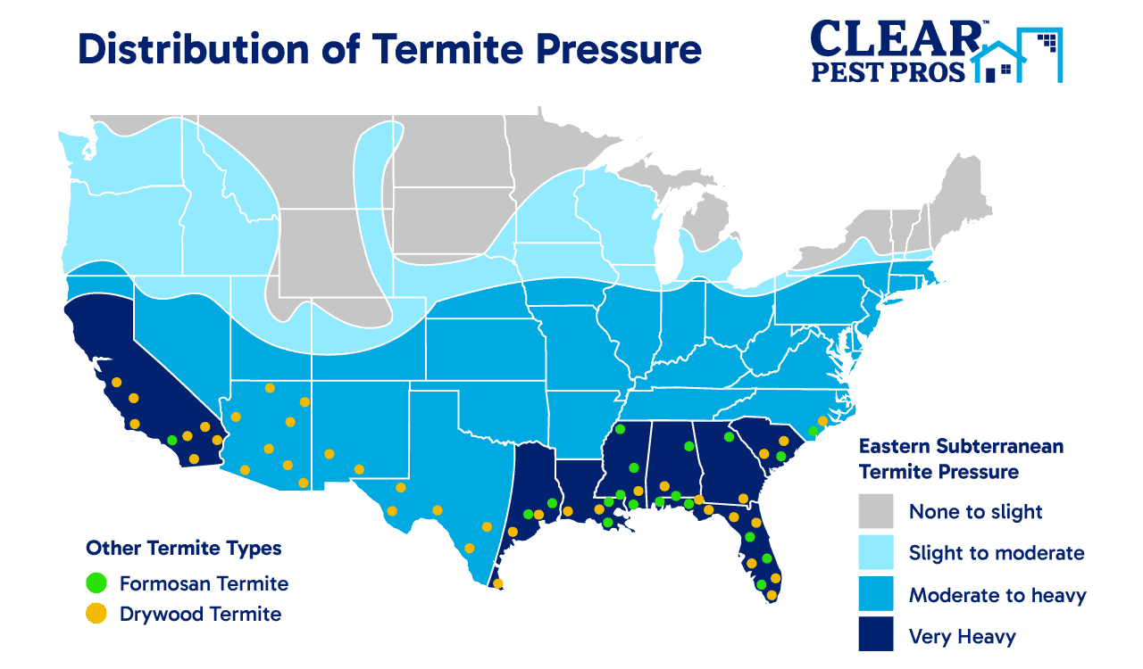 termite pressure map