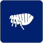 Flea Icon