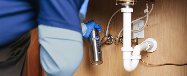 Applying pest treatment