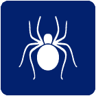 Spider Icon