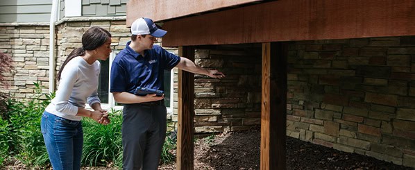 initial ant inspection