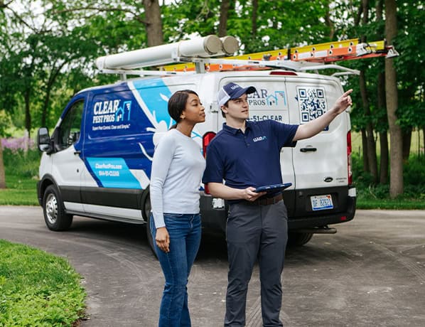 dampwood termite prevention tips