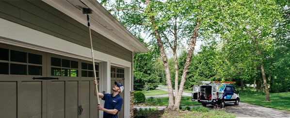 exterior spider treatment