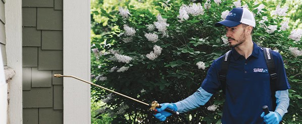 stinging pest treatment